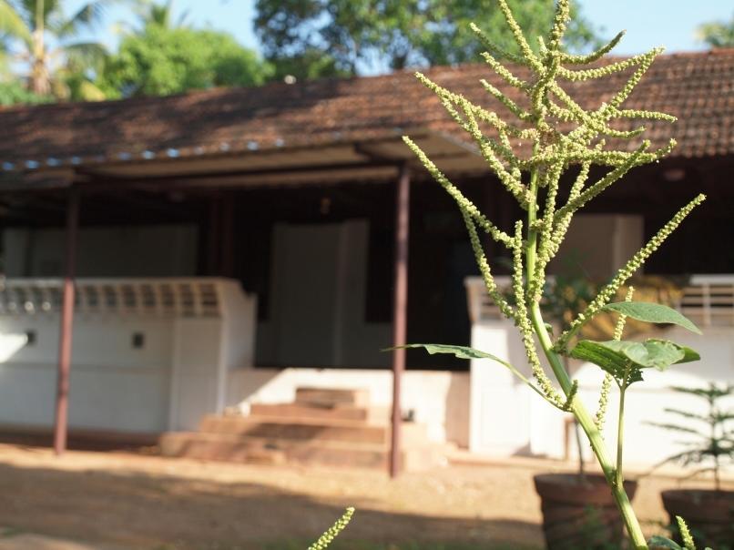 Chedi Spring Valley Hotel Athirappilly Exterior foto